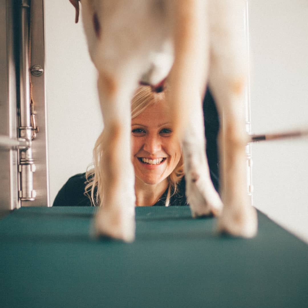 Dr. Kirsten Häusler mit einem Hund auf dem Laufband